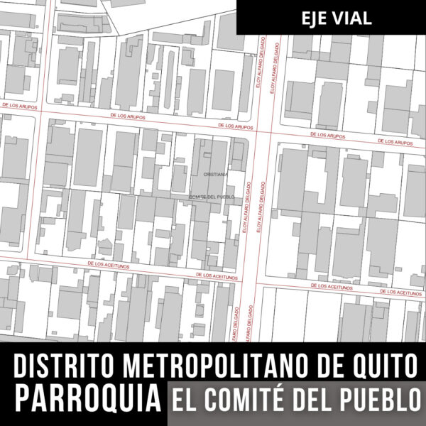 EL COMITE DEL PUEBLO EJE VIAL CALLES