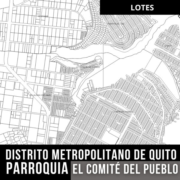 EL COMITE DEL PUEBLO LOTES