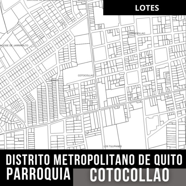 COTOCOLLAO LOTES