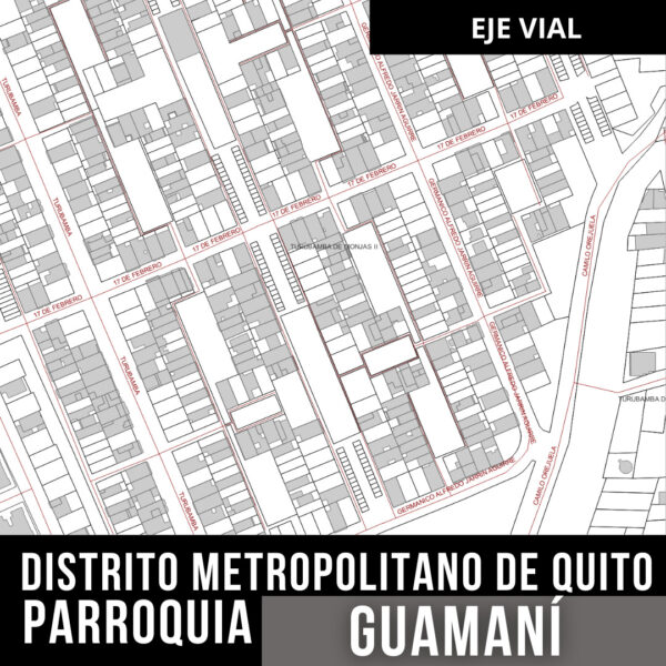 GUAMANI EJE VIAL CALLES
