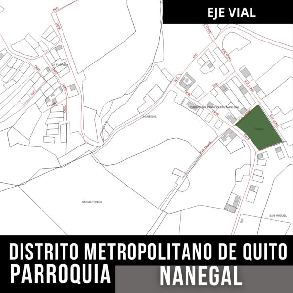 NANEGAL EJE VIAL CALLES