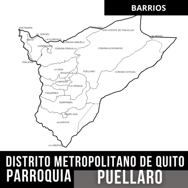 PUELLARO BARRIOS